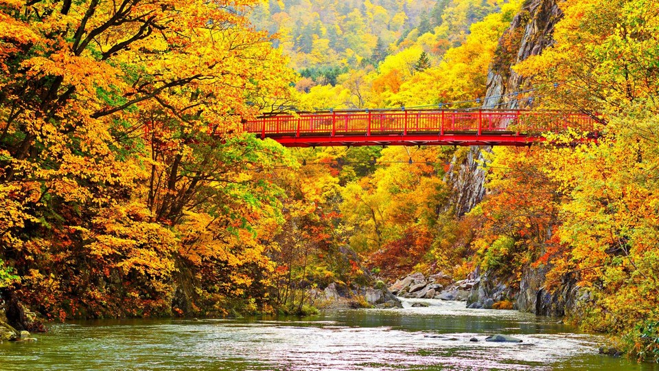 Hokkaido autumn travel blog — 15 Top things to do & best places to