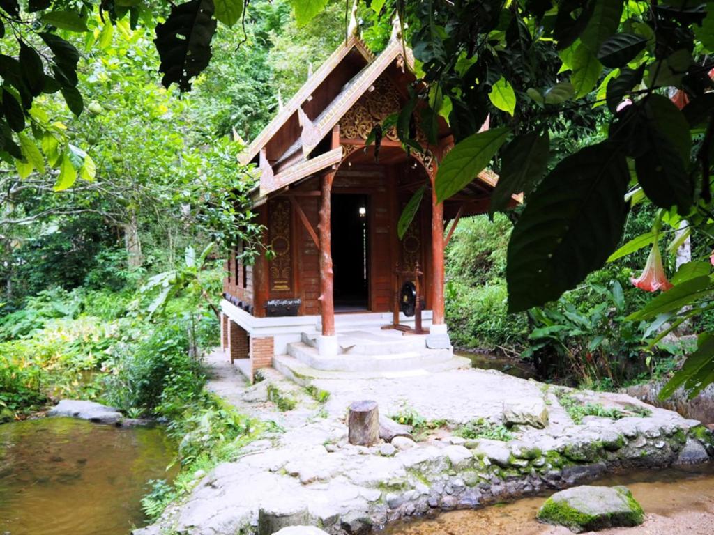 Kampong Coffee and Homestay,best hostels in chiang mai,cheap homestay in chiang mai,top hostels in chiang mai (19)