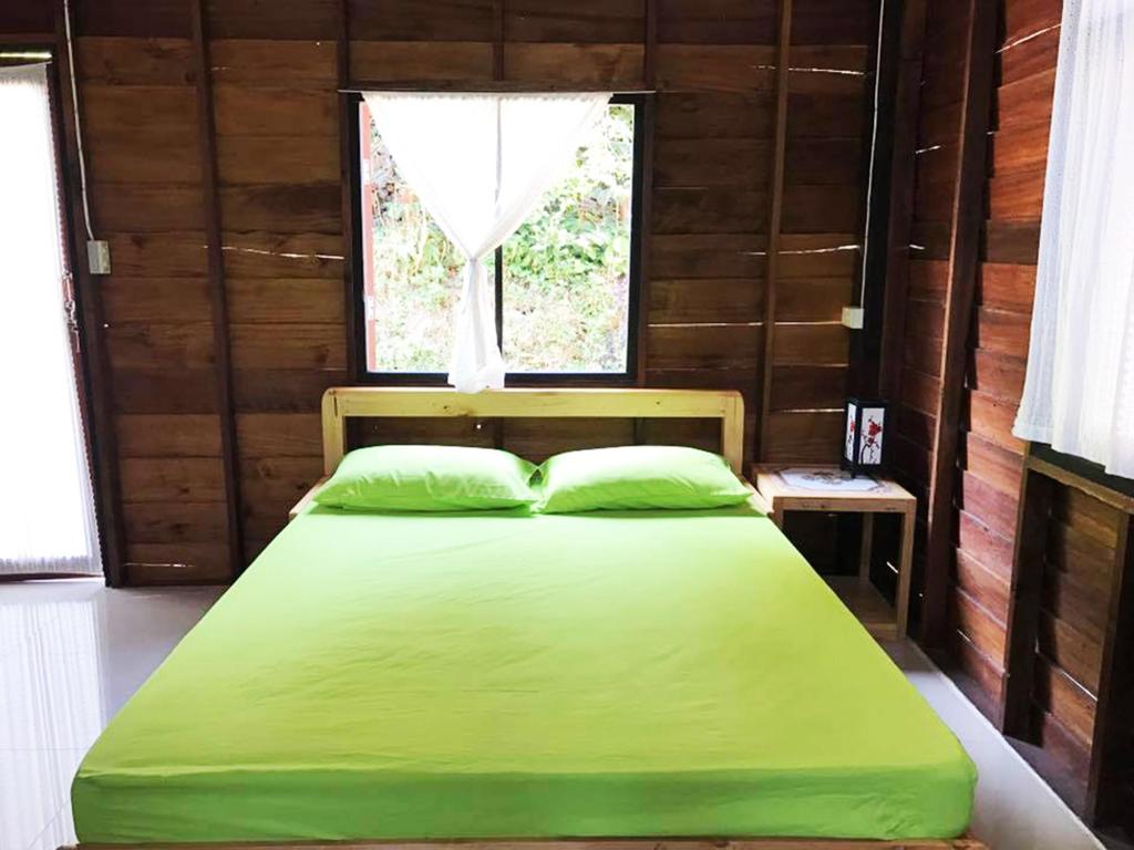 Kampong Coffee and Homestay,best hostels in chiang mai,cheap homestay in chiang mai,top hostels in chiang mai (1)