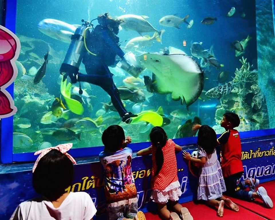 Top places to visit in Chiang Mai Chiang Mai Zoo Aquarium (1)