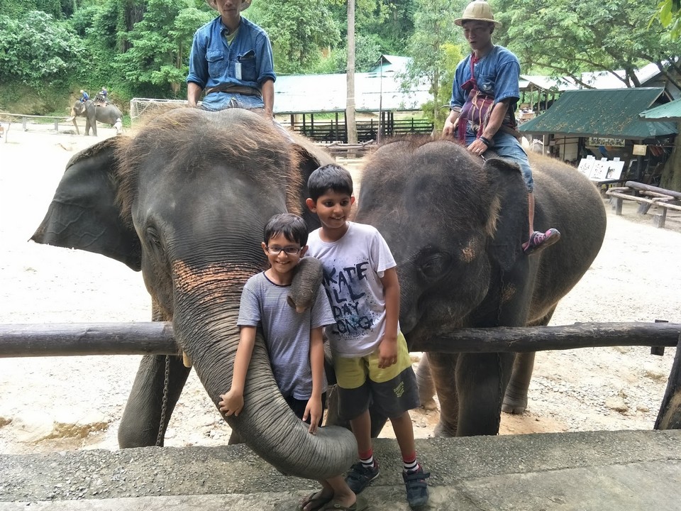 Where to go in Chiang Mai Maesa Elephant Camp (4)