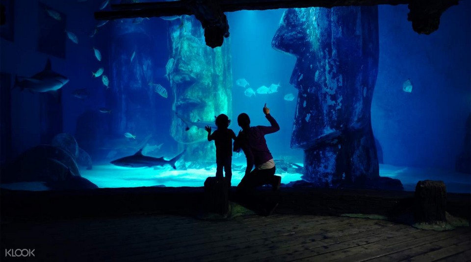 Interesting places to visit in London SEA LIFE Centre London Aquarium (1)