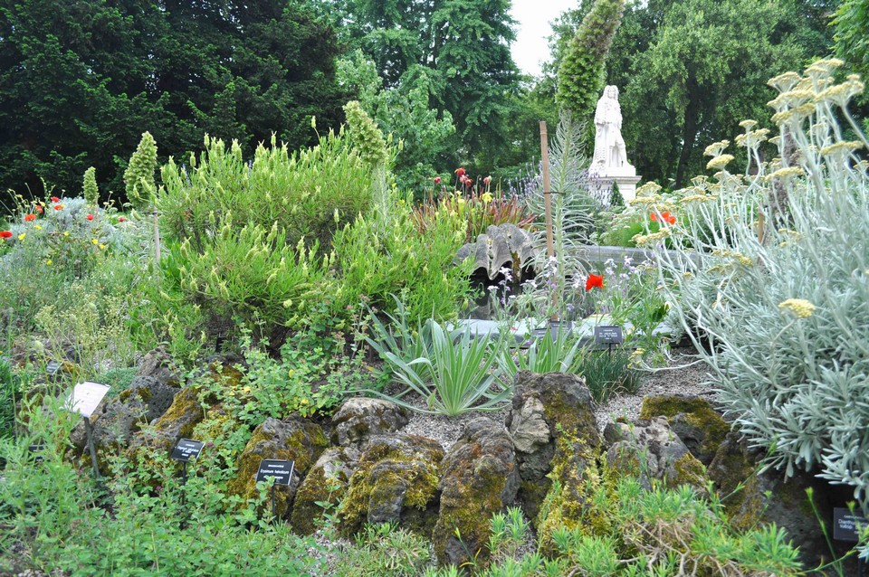 Must see places in London Chelsea Physic Garden (7)