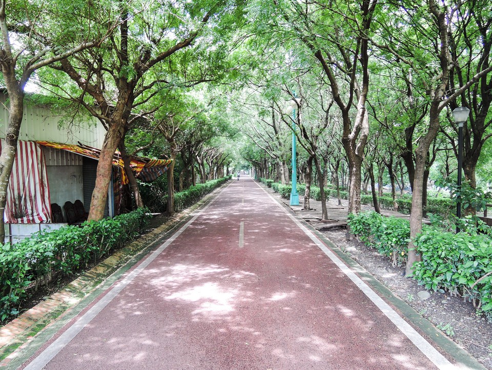 Dongfeng Bicycle Green Way Green Corridor and Hou-Feng bike path (1)