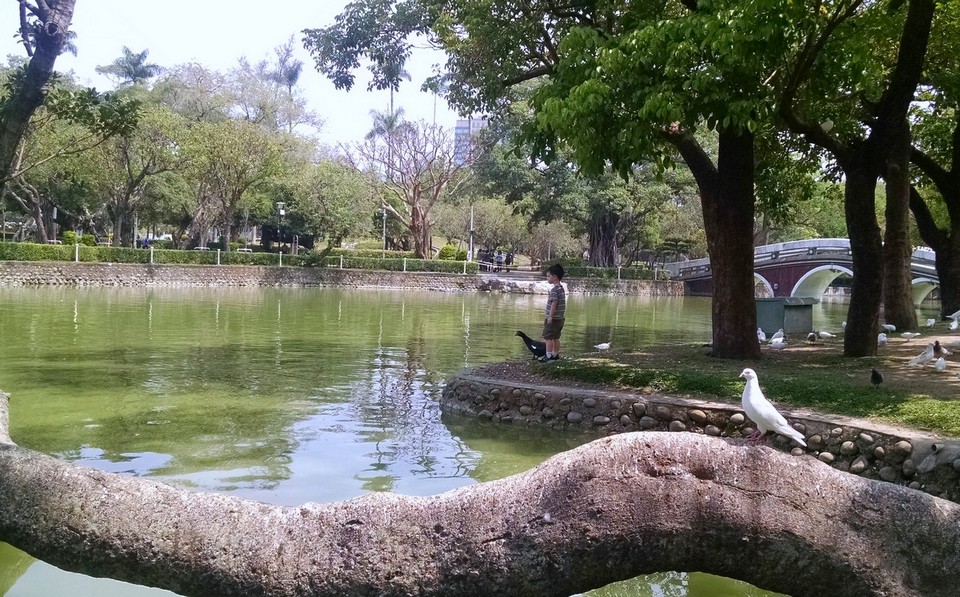 taichung park (1)