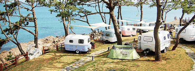 Busan camping