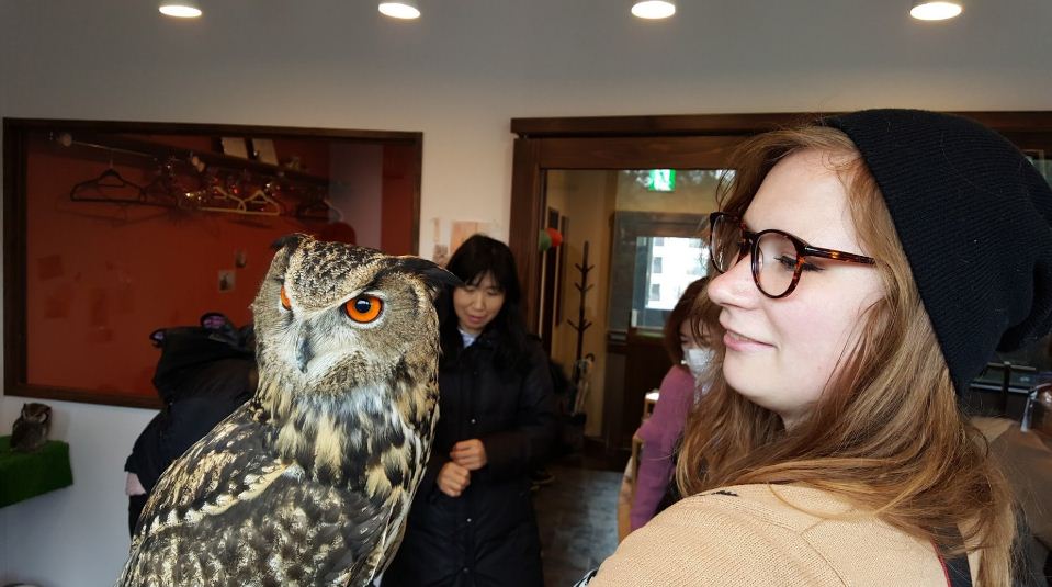 Harajuku Cafe Japan Owl Cafe & Bar Owl Village (3)