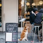 Harajuku cafe review — 5 unique themed coffee shops & best cafes in Harajuku you definitely must visit