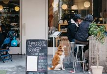 Harajuku cafe review — 5 unique themed coffee shops & best cafes in Harajuku you definitely must visit