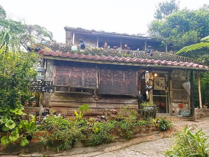 Okinawa cafe — 4 hidden gems coffee shops & best cafes in Okinawa you