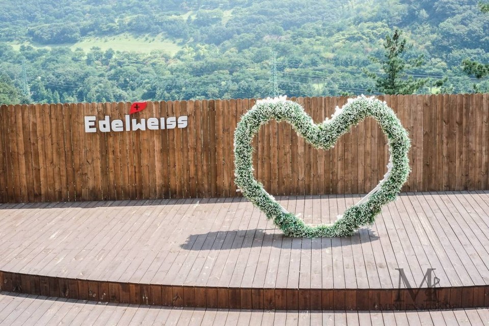 edelweiss swiss theme park korea (1)