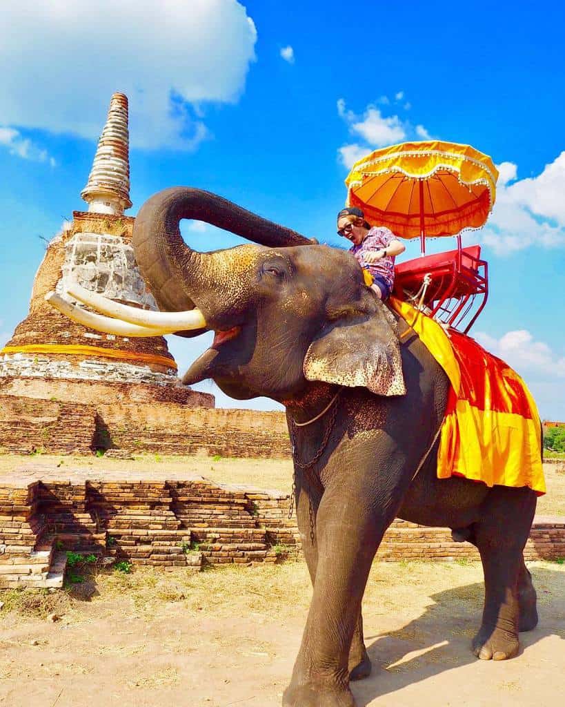Ayutthaya Elephantstay