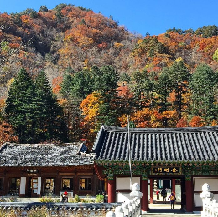 Baekdamsa temple korea (1) - Living + Nomads – Travel tips, Guides ...