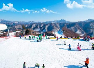 Gangwon skiing