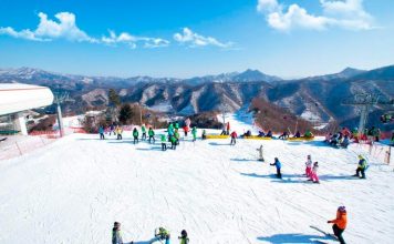 Gangwon skiing