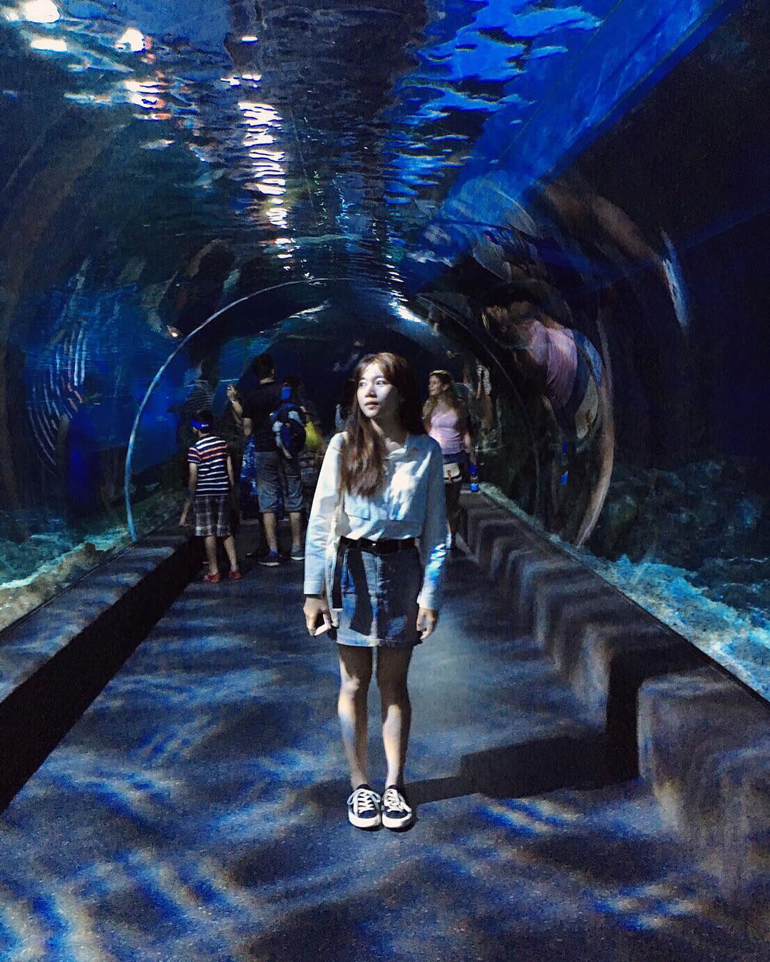 siam aquarium (1)