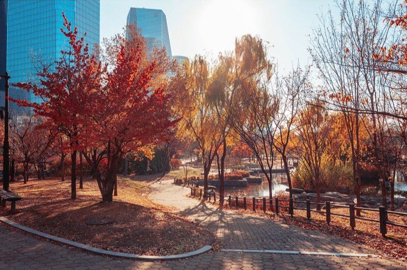 Best parks in Seoul Yeouido Park on the banks of the Han River (1)