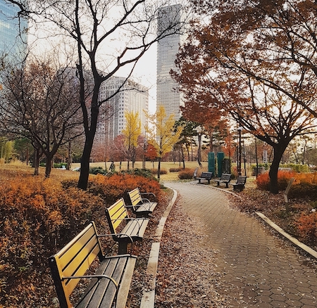 Best parks in Seoul Yeouido Park on the banks of the Han River (4)