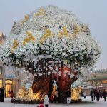 Guide to Everland Theme Park — How to visit & what to do in Everland?