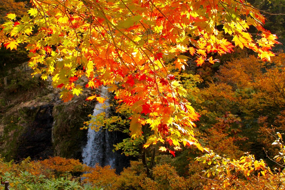 Autumn_Ginzan Onsen