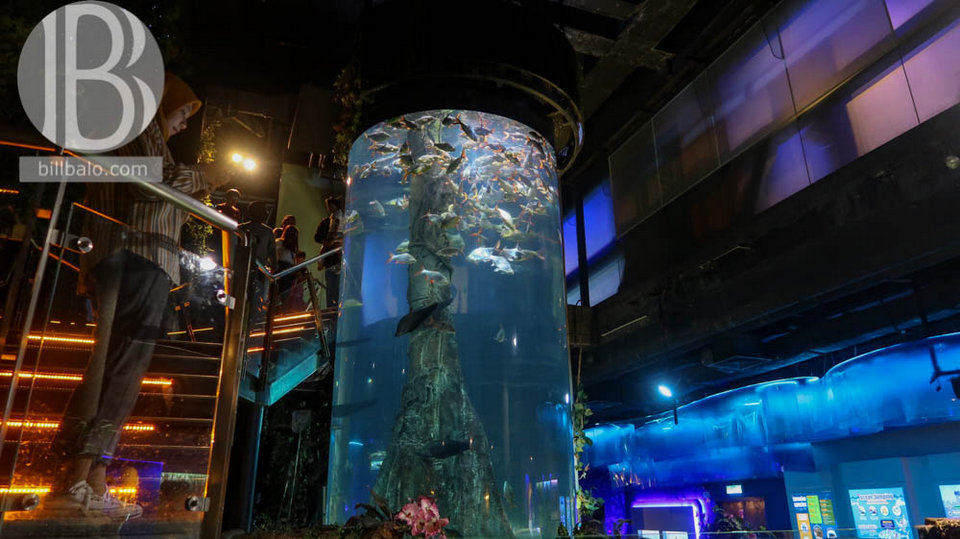 aquaria petronas twin towers kuala lumpur malaysia