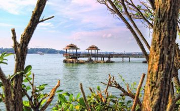 Pulau Ubin blog — The guide to Pulau Ubin & suggested perfect Pulau Ubin one day trip