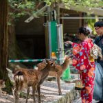 Japan itinerary 9 days — How to spend 9 days in Japan to visit: Osaka – Kobe – Kyoto – Nara?