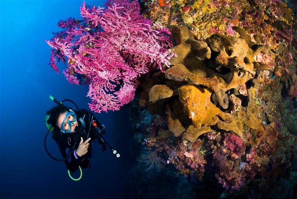 Snorkeling to see corals in Nusa Penida