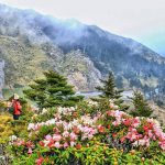 The fullest Hualien travel guide for first-timers