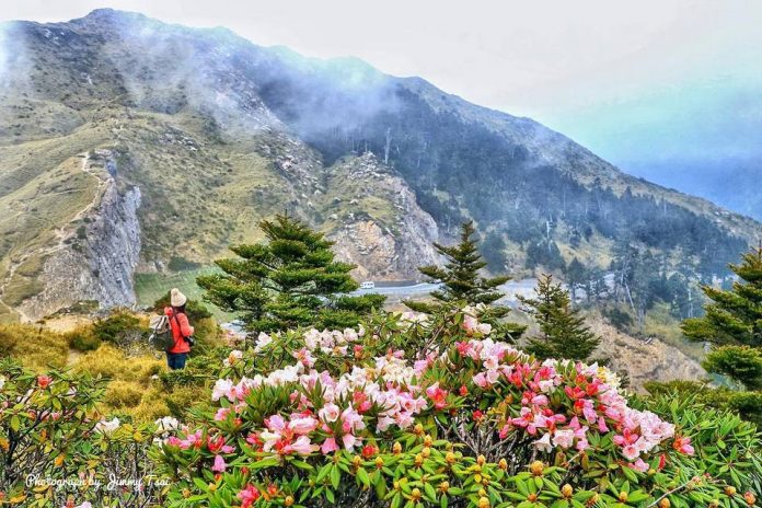 Colorful Hualien