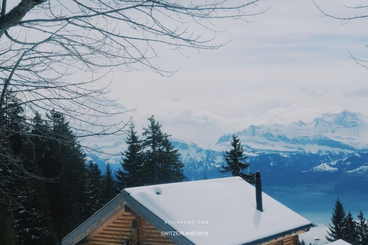 mount rigi kulm lucerne (12)