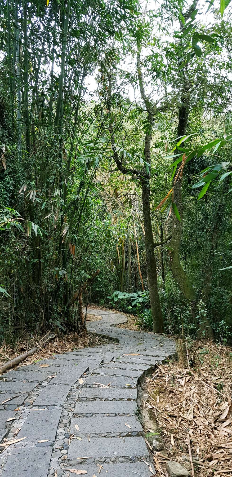 xuanzang temple sun moon lake nantou taiwan (1)