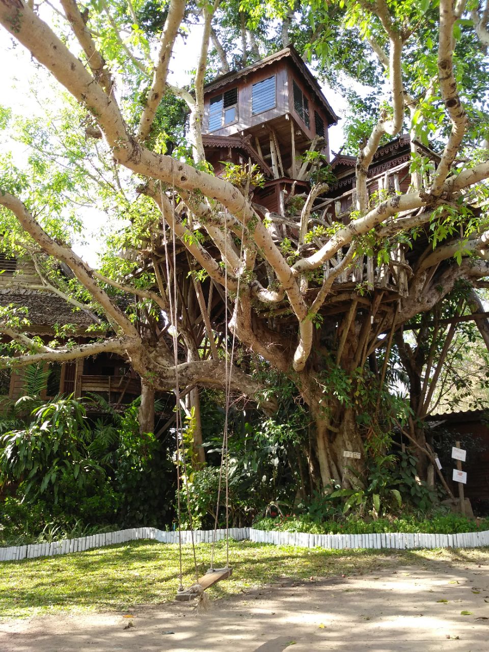 Pai Treehouse Resort 3 Living Nomads Travel Tips Guides News