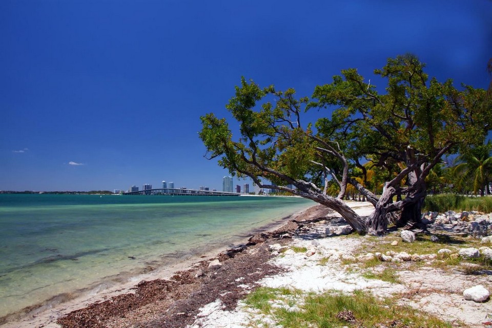 Hobie Beach MIAMI