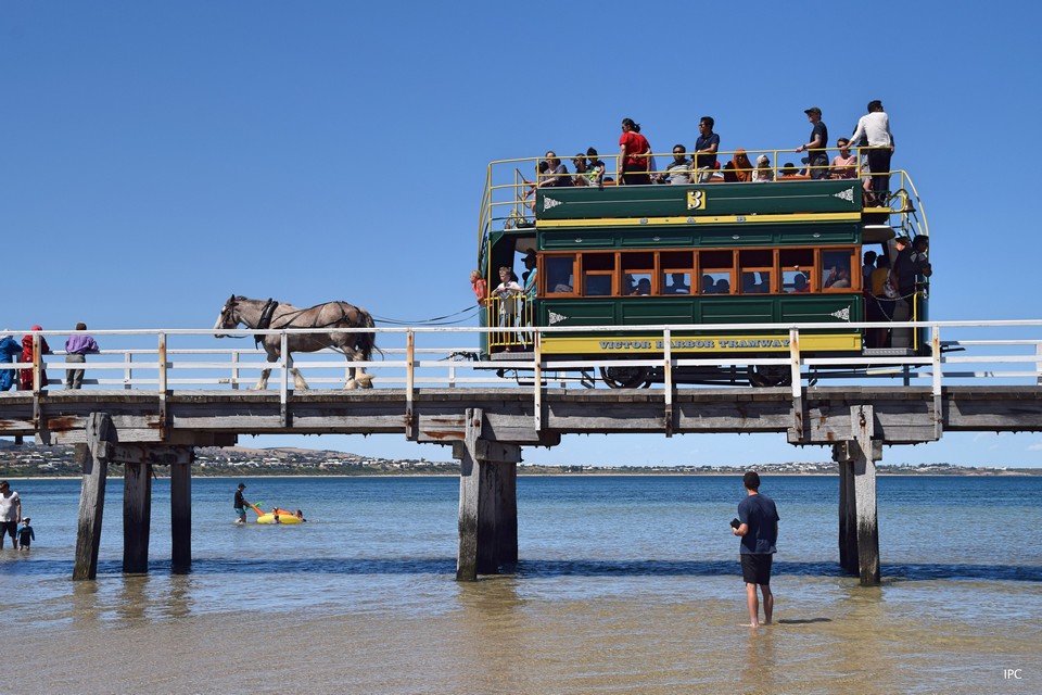 Victor Harbor horse-dawn carriage