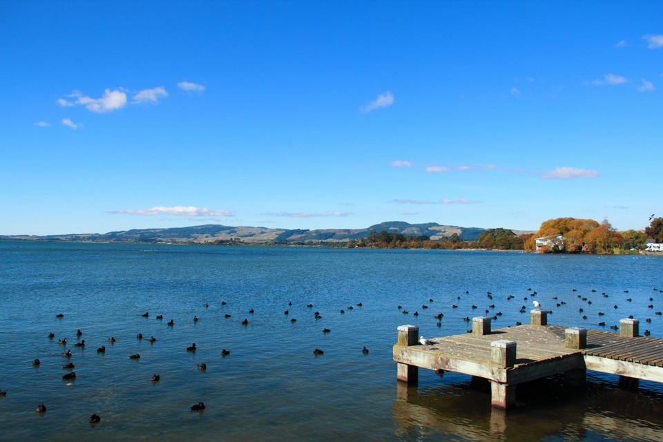 Lake Rotorua