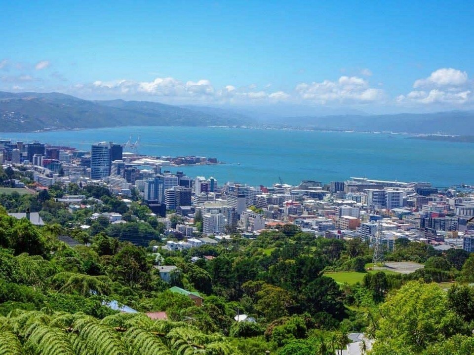 wellington new zealand travel blog (7)