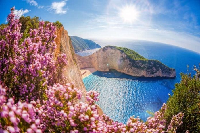 Navagio-beach-with-shipwreck-and-flowers-against-sunset-Zakynthos-island-Greece-min