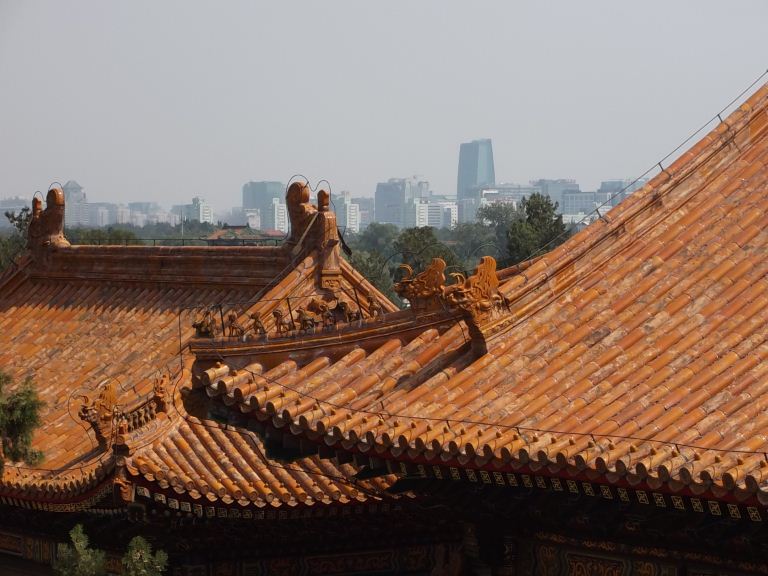 longevity hill