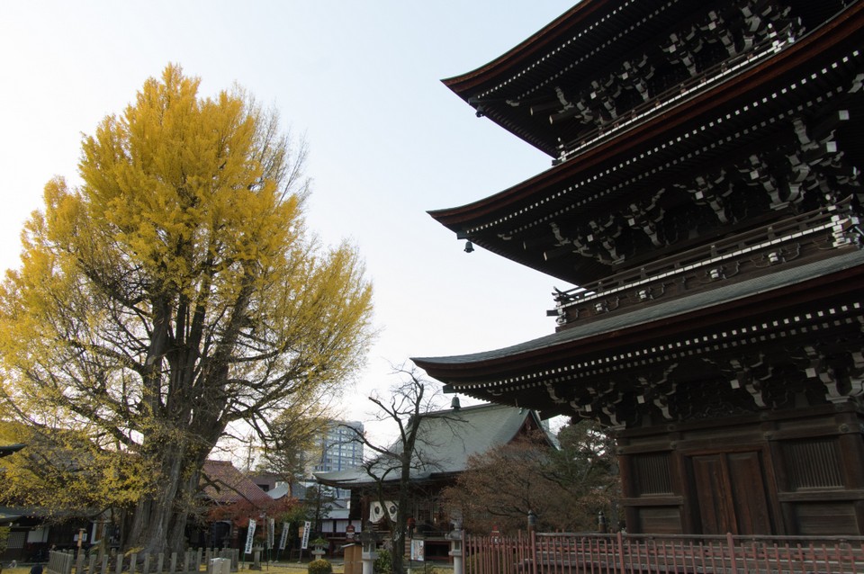 Hida Kokubunji Temple takayama (1)