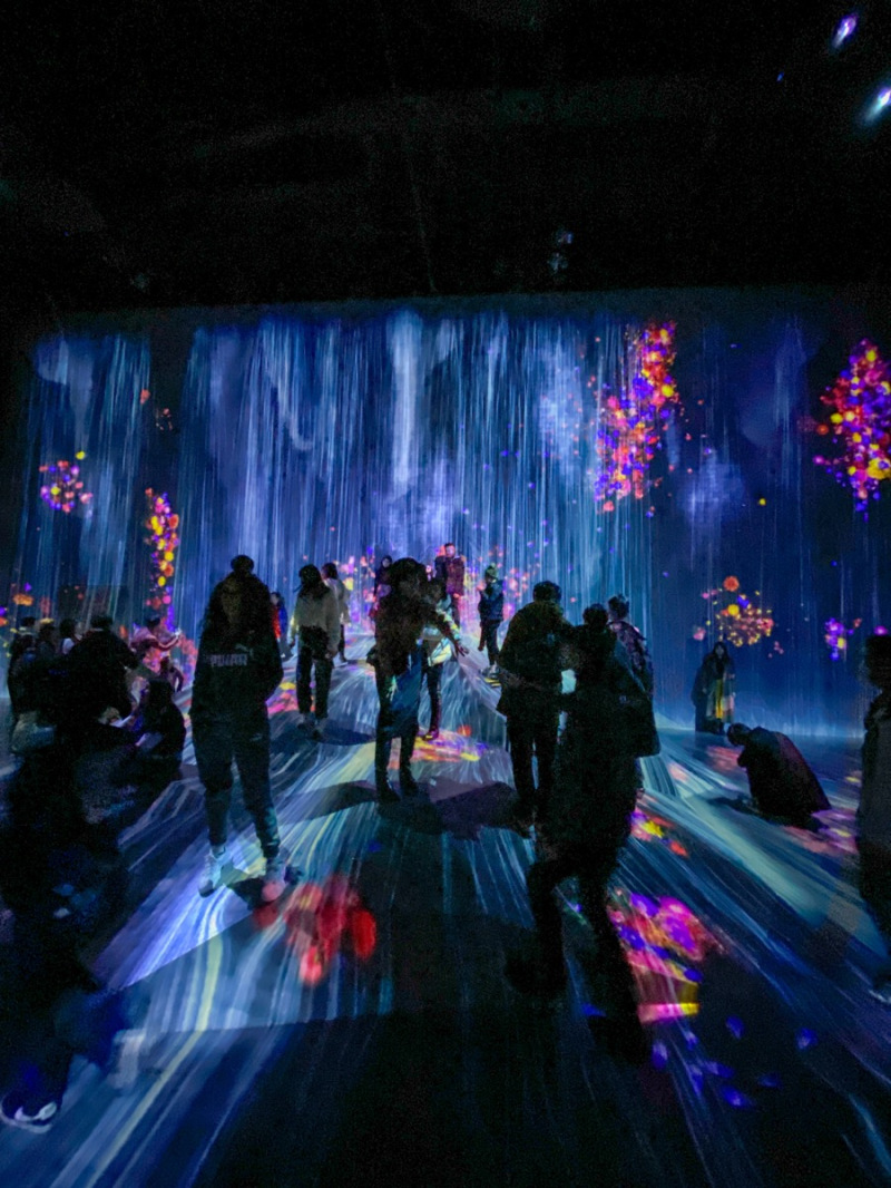 Athletic Forest teamlab boderless (6)