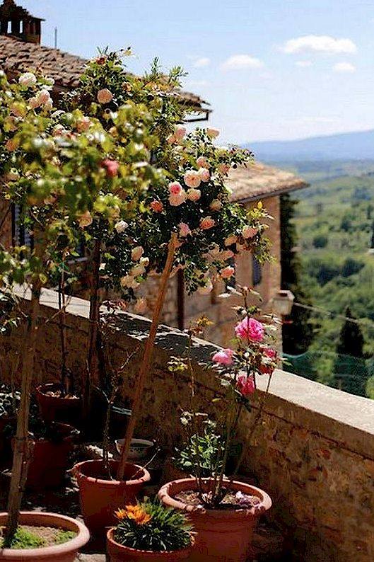 what to do in san gimignano guide (16)