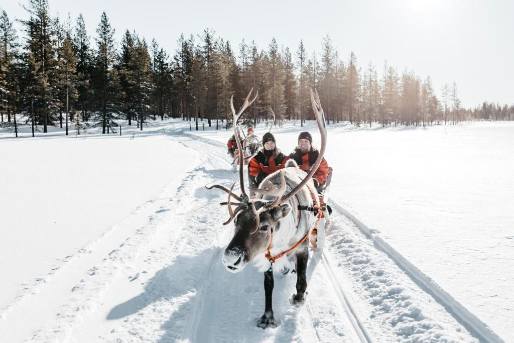 Journey to Lapland: a beautiful escape in the Far North!