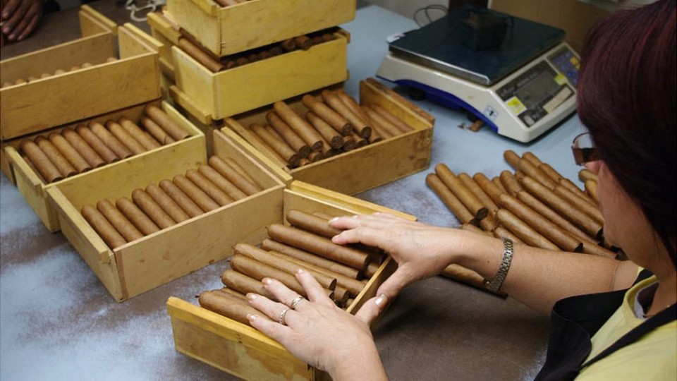 cuban cigars5