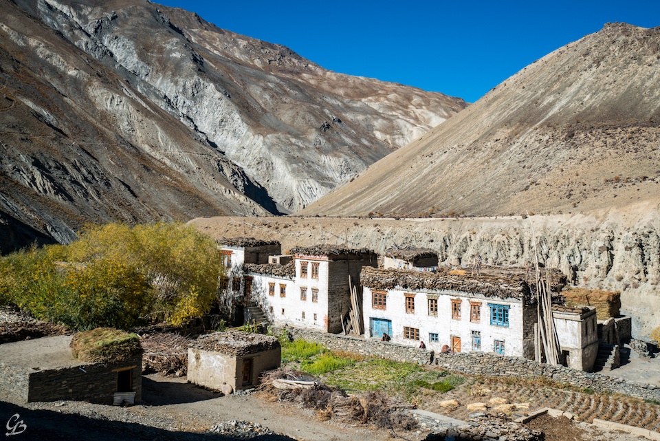 tour plan for leh ladakh