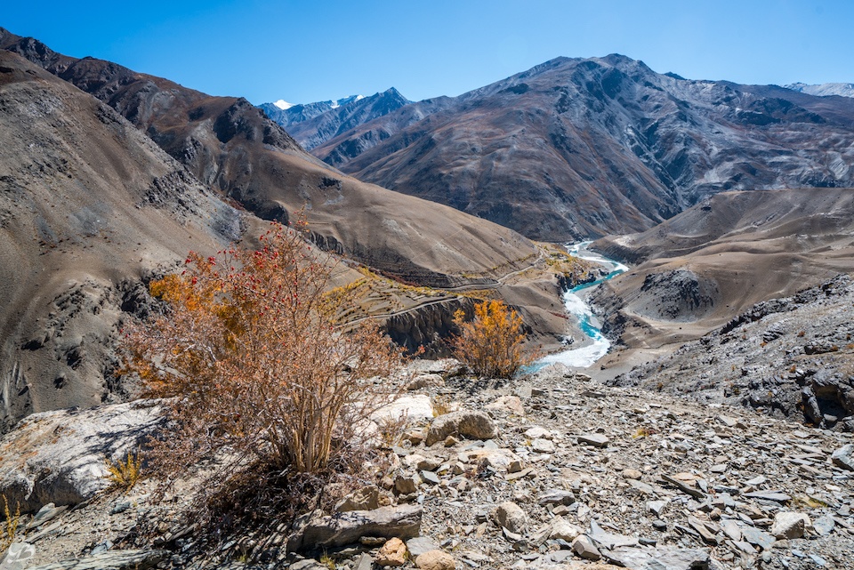 ladakh travel guidelines