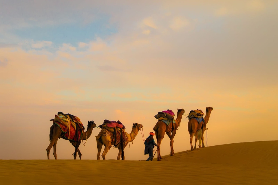 Jaisalmer-Camel-Safari-Tour-Package-–-1-Night-2-Days-Trip-Jaisalmer-Sam-Sand-Dunes-Trip (1)