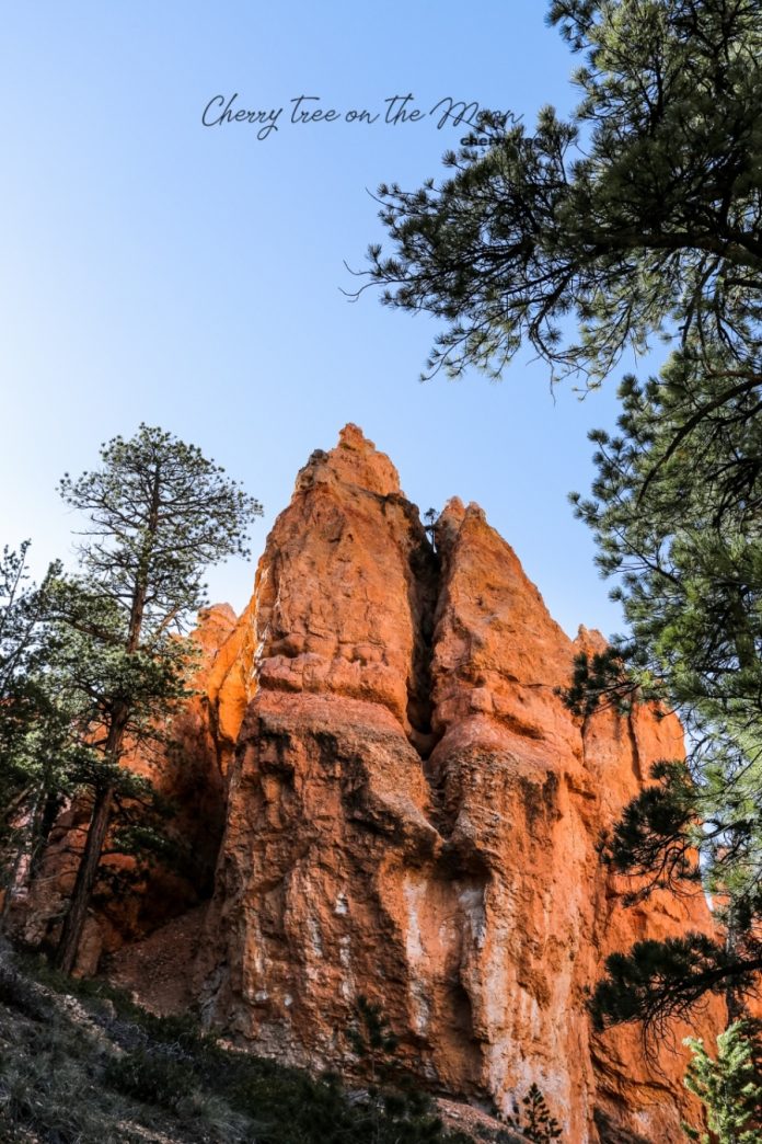 Bryce Canyon Itinerary How To Visit Bryce Canyon In One Day Living Nomads Travel Tips