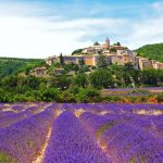 Provence travel blog — The fullest guide to Provence lavender season