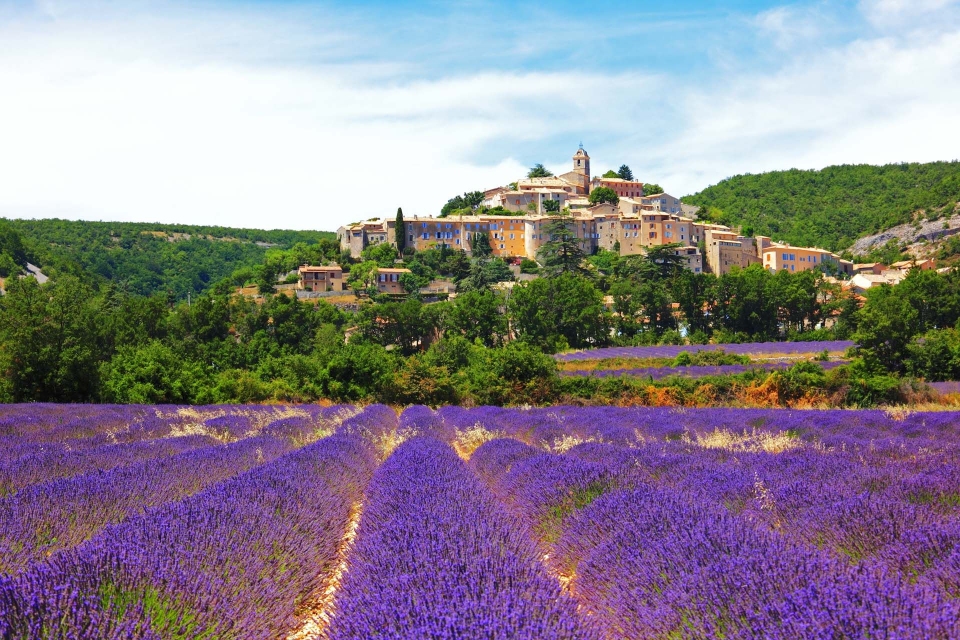 trip to provence drops